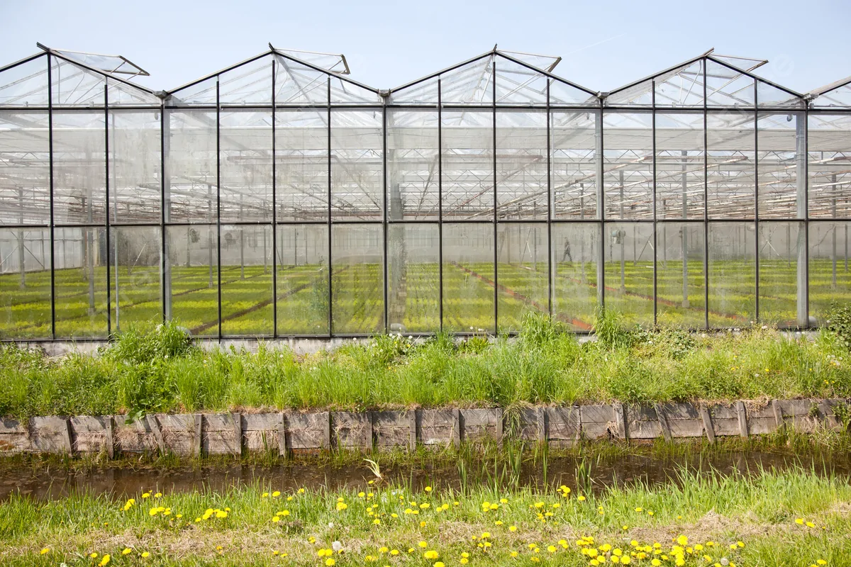 Netwerkbeheer Westland