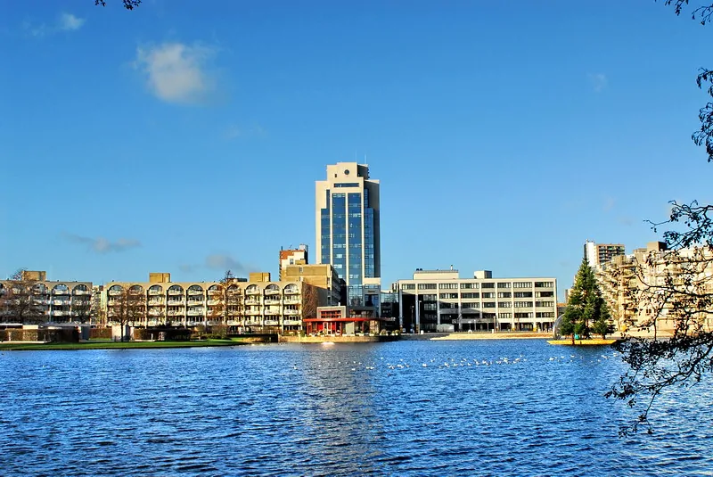 ICt bedrijf Zoetermeer